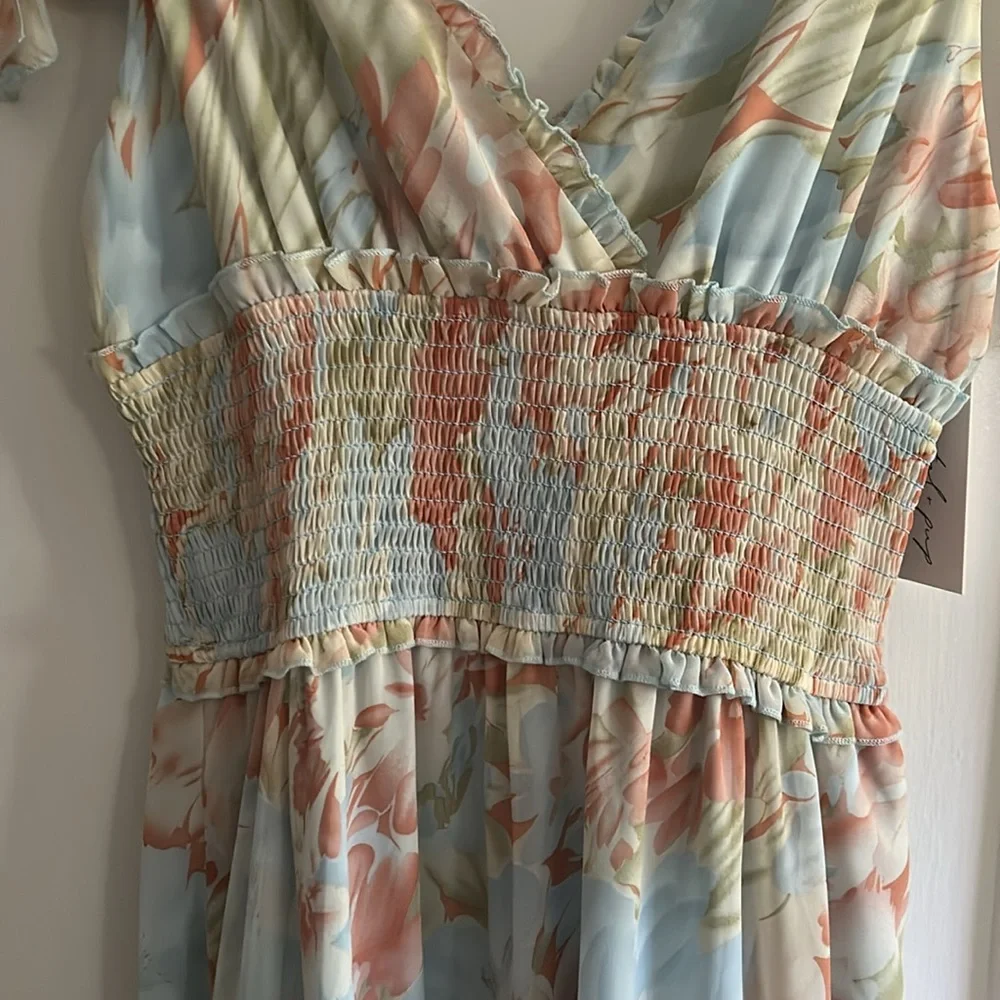 Petal & Pup Pink and Blue Ruffled Tiered Maxi Dress - Picture 3 of 6